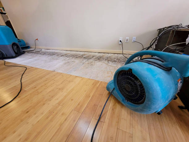 Reliable Basement Flood Cleanup contractor in Hope, NJ by Hirex Water Damage