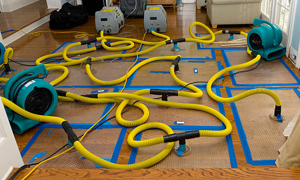 Professional Basement Flood Cleanup technician working in Hope, NJ